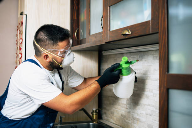 Best Commercial Pest Control Services  in Lynn, IN
