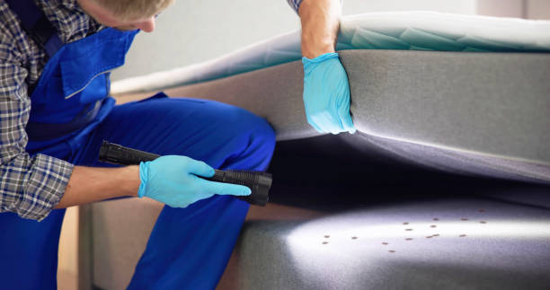Best Best Pest Control Companies  in Lynn, IN