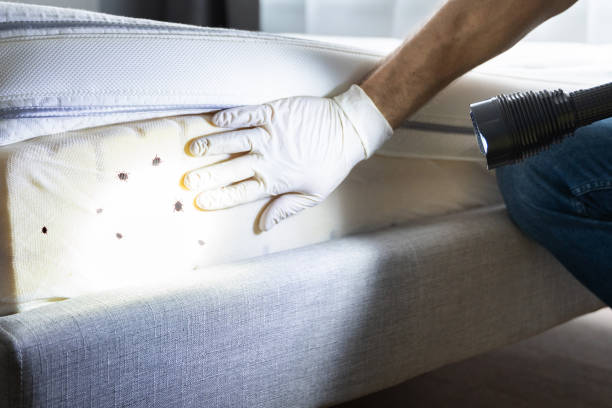Best Pest Control for Restaurants  in Lynn, IN
