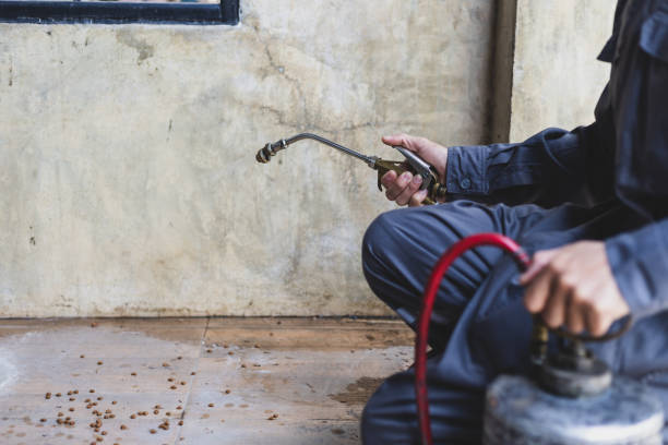 Best Best Pest Control Companies  in Lynn, IN